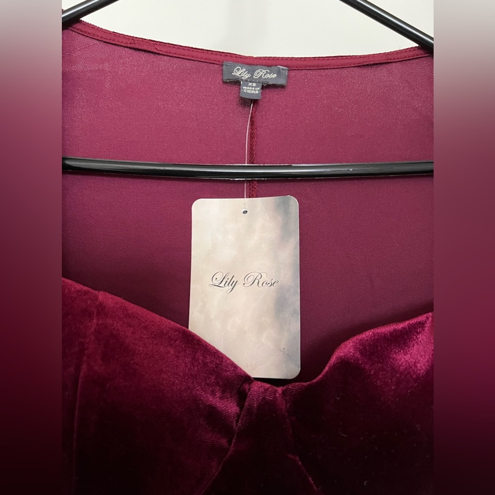 BNWT Lily Rose Velvet Dress - Picture 2 of 3